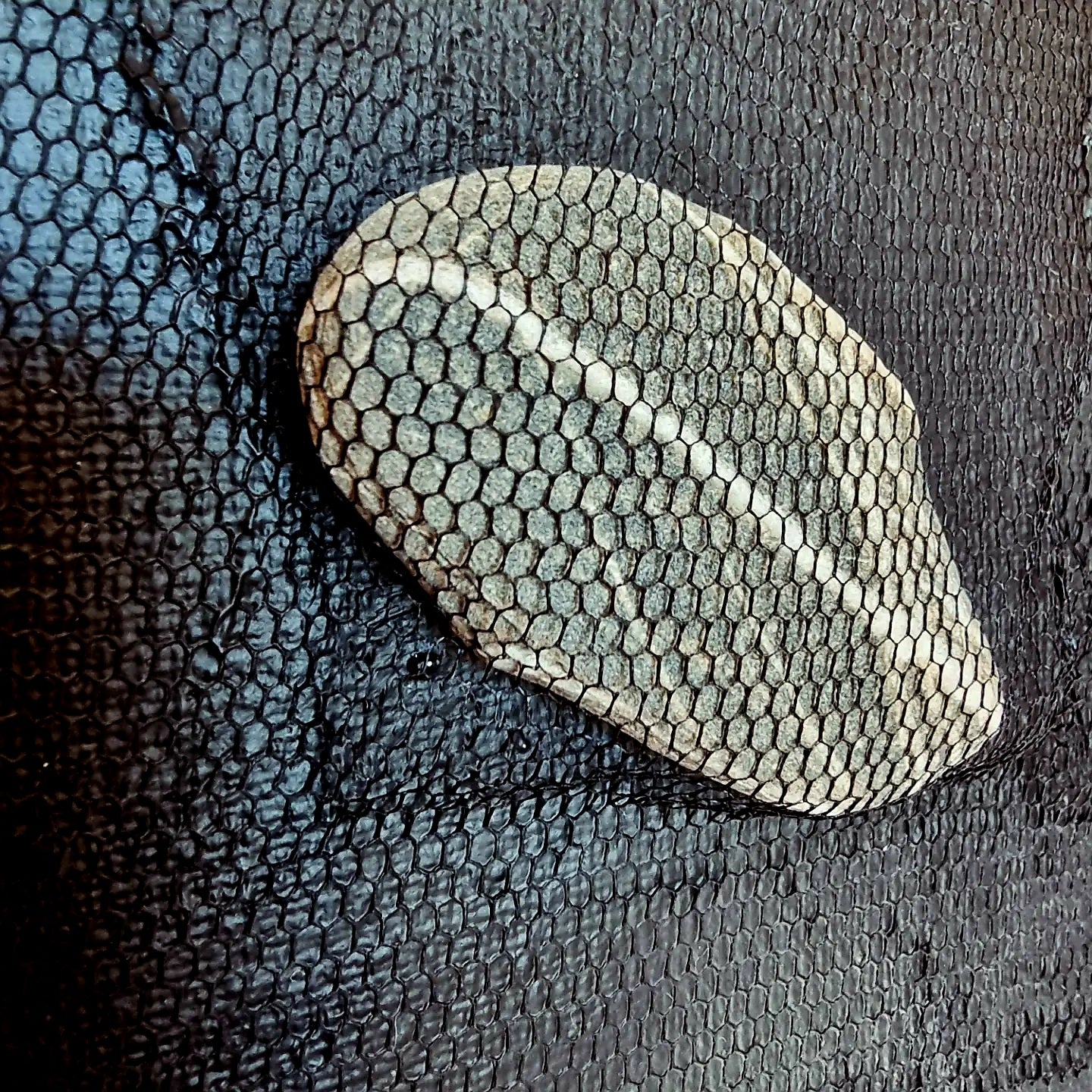 Glezna AKMENS KLUSI RUNĀ