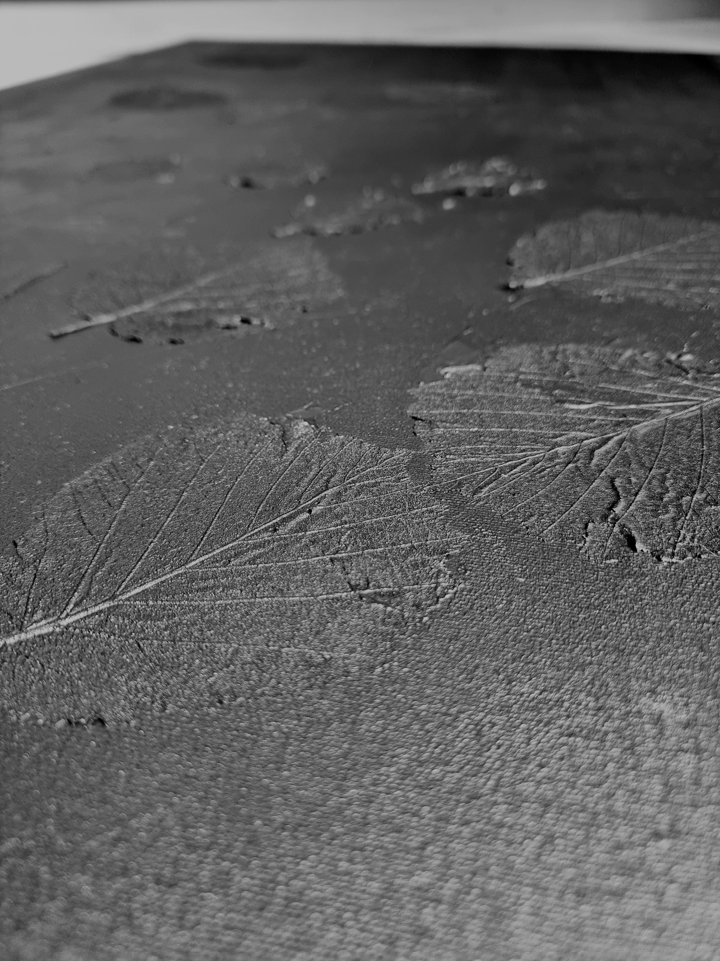 Sienas dekors LAPAS TUMSĀ